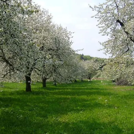 With 2 Bedrooms Vakantiehuis Ebermannstadt